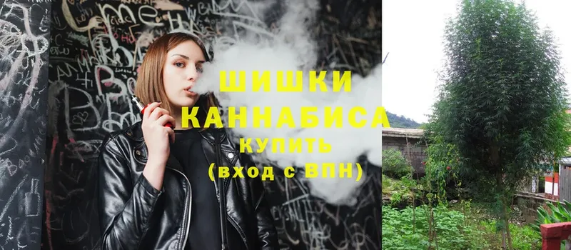 где найти наркотики  Тара  Бошки марихуана THC 21% 